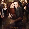 THE TWILIGHT SAGA: NEW MOON
