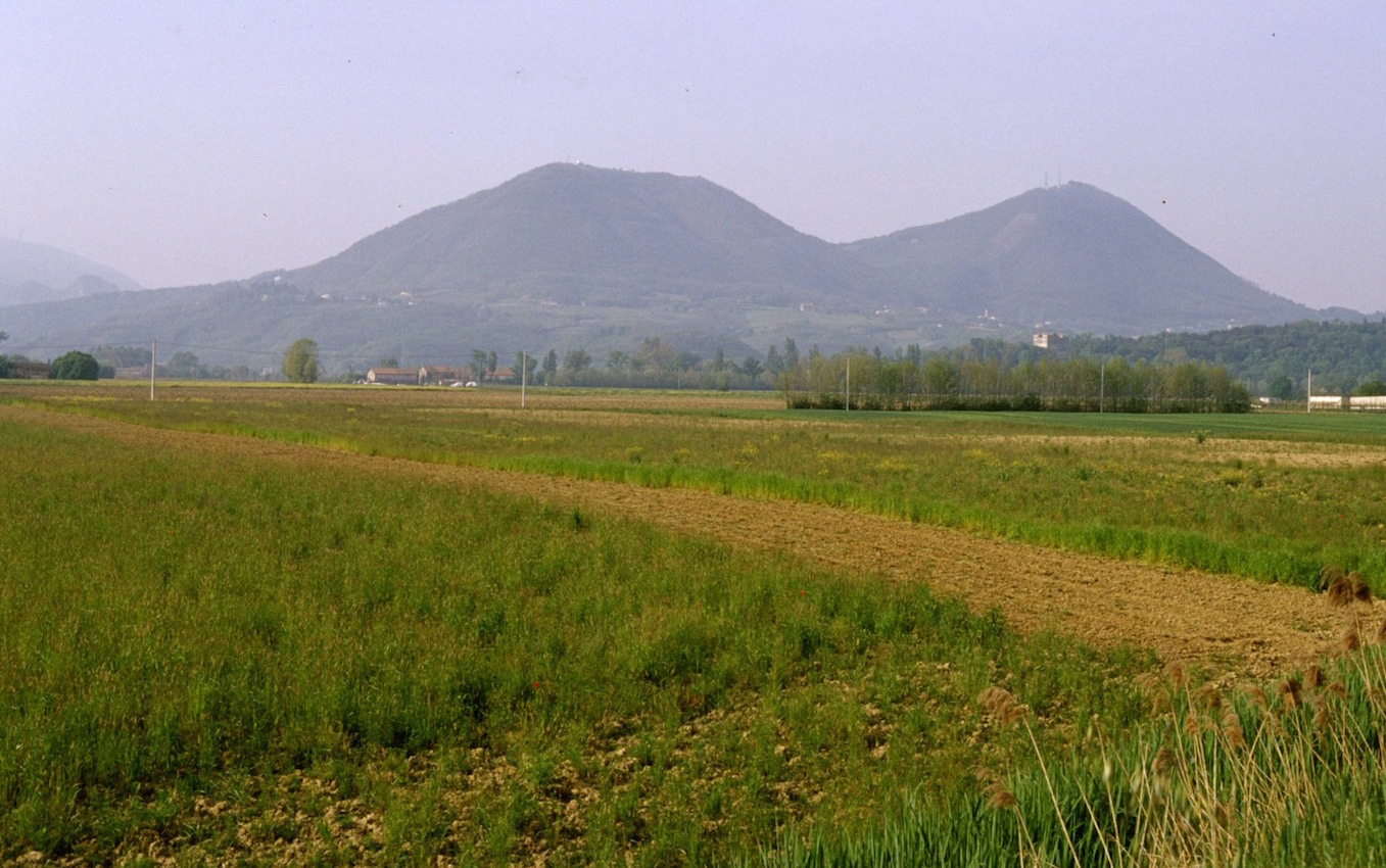 MHC3